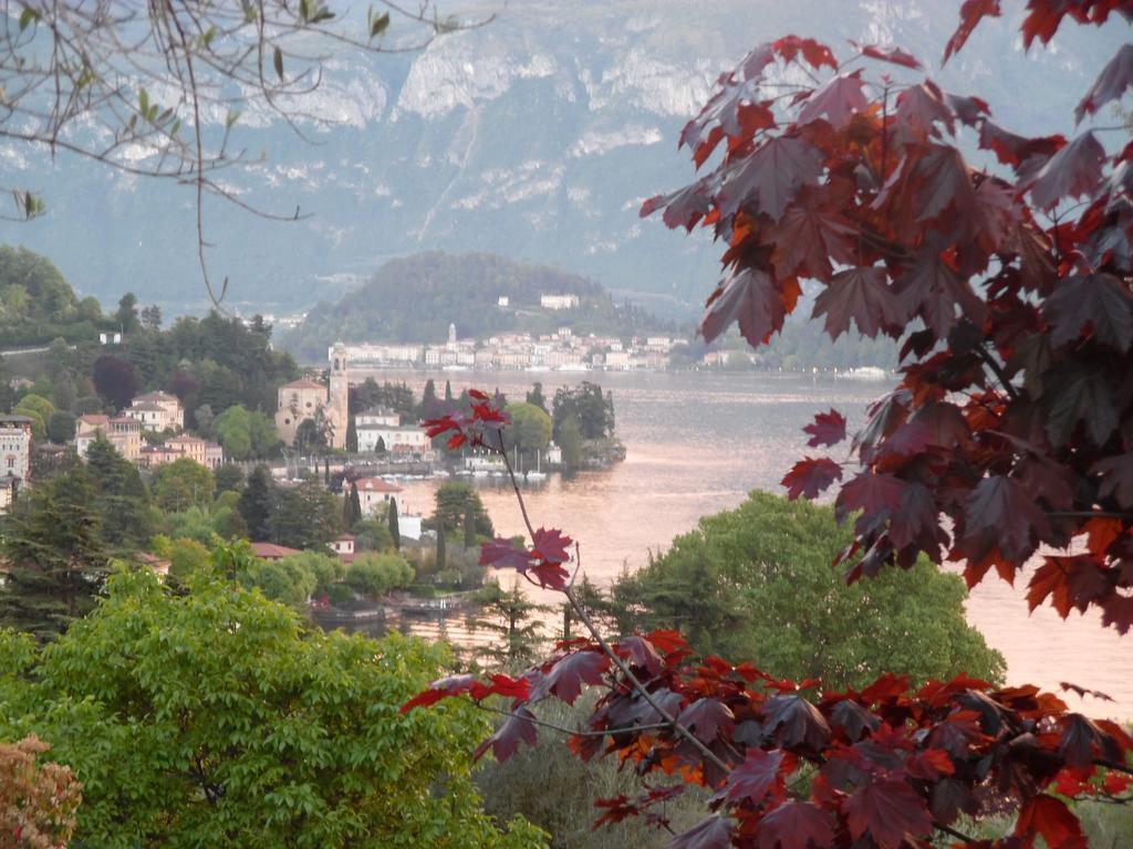 Residence Celeste Mezzegra Dış mekan fotoğraf